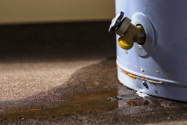 Best 24-hour water damage restoration  in Grant, NE