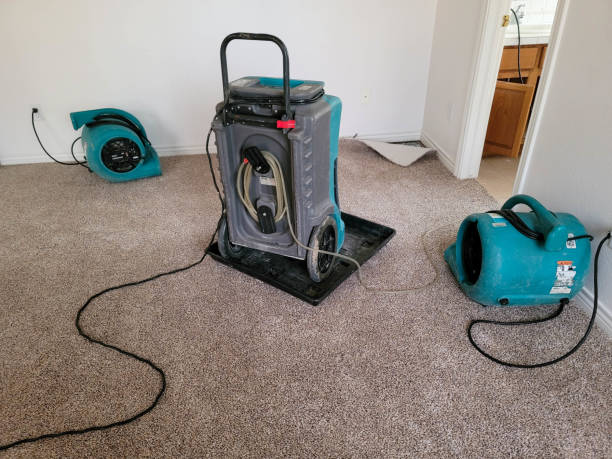 Best 24/7 water damage repair  in Grant, NE