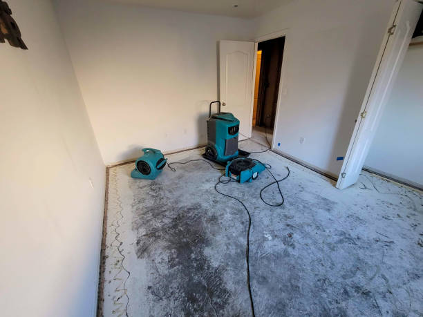 Best Basement water damage restoration  in Grant, NE