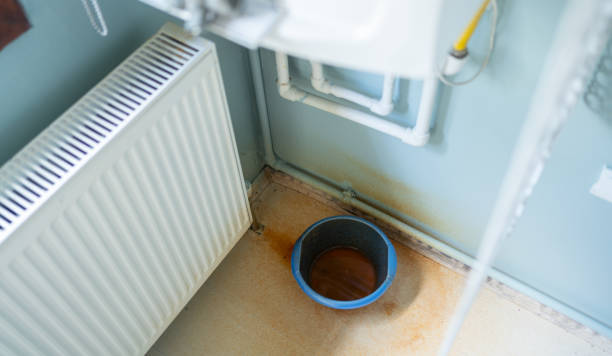 Best Water damage restoration near me  in Grant, NE