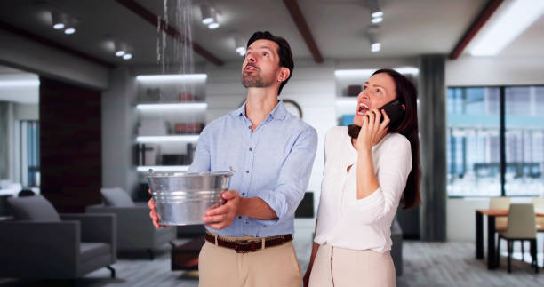 Best Water damage restoration specialists  in Grant, NE